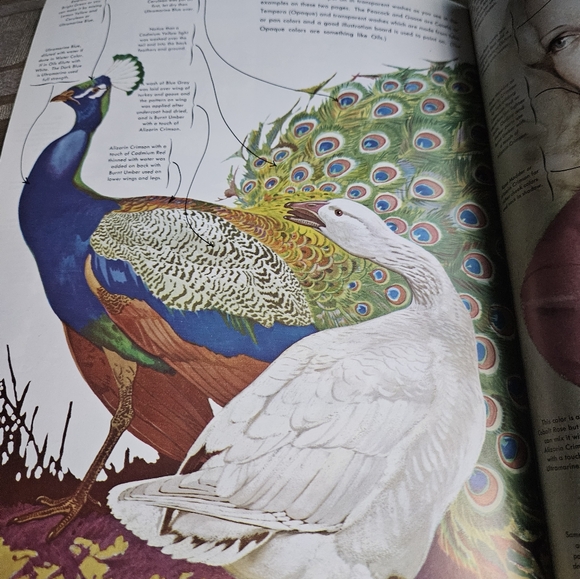 How to Draw and Paint Mixing Colors & Materials to Use Softcover Book #56 VTG - Picture 9 of 16